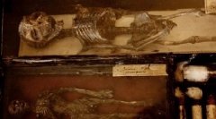梅瑞林博物馆的珍藏——精灵干尸