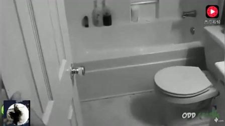 令人毛骨悚然的恐怖闹鬼浴室之: 浴室里摄像机拍摄的晃动